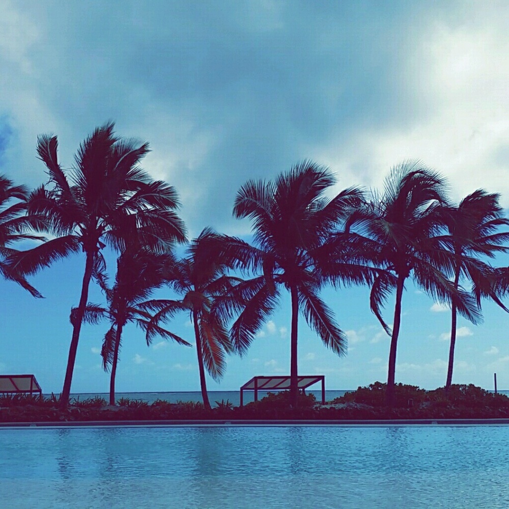 Meet your Posher, Linnea